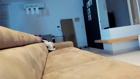 Cassy_cum  08-08-2022